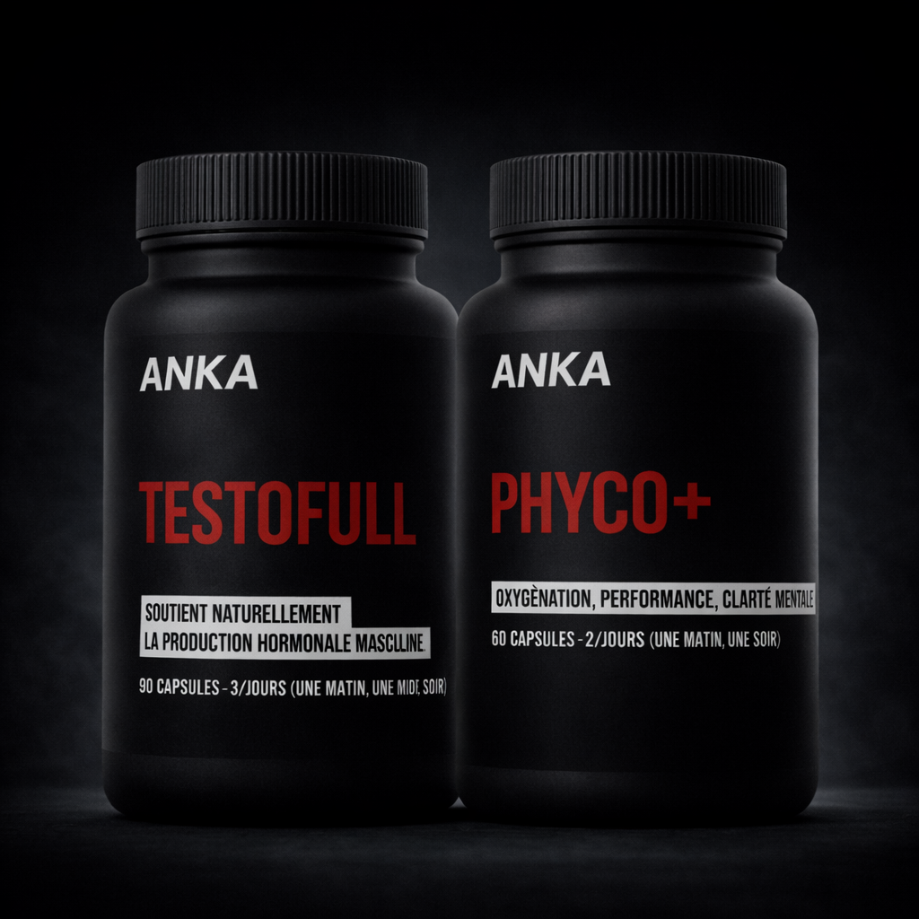 PERFORMANCE PROTOCOL