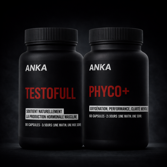 PERFORMANCE PROTOCOL